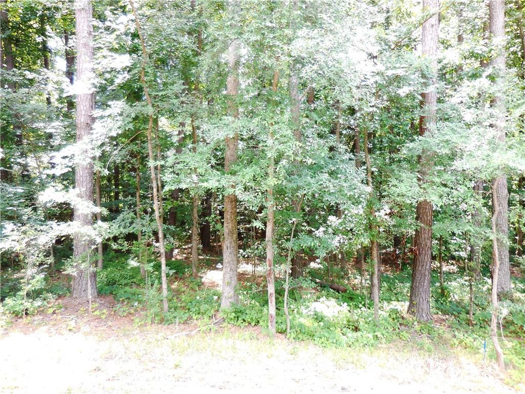 [Address Hidden by Seller], Duluth, GA 30096