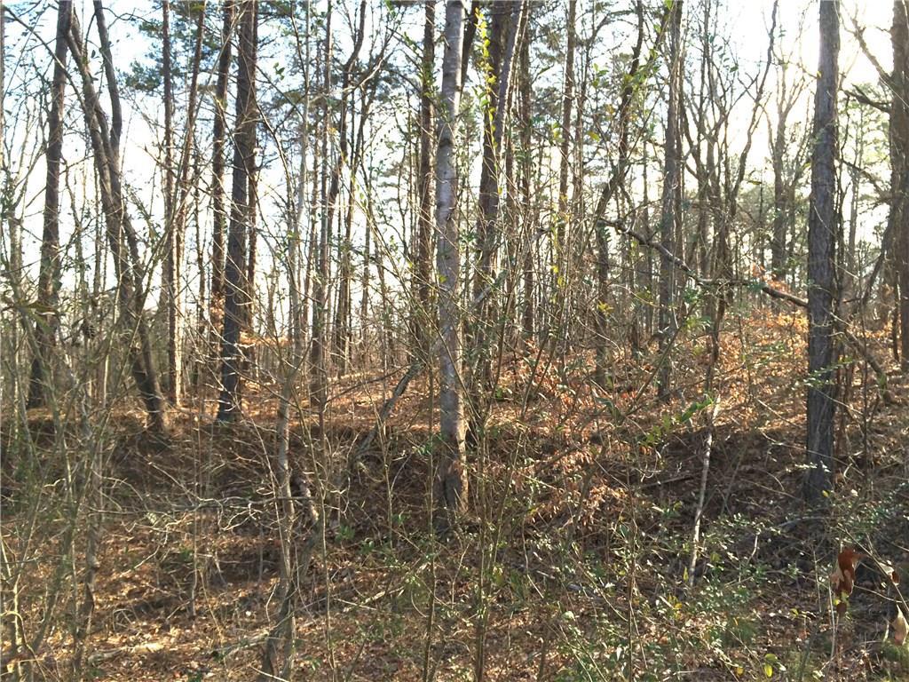 Hiram Acworth Hwy., Dallas, GA 30157