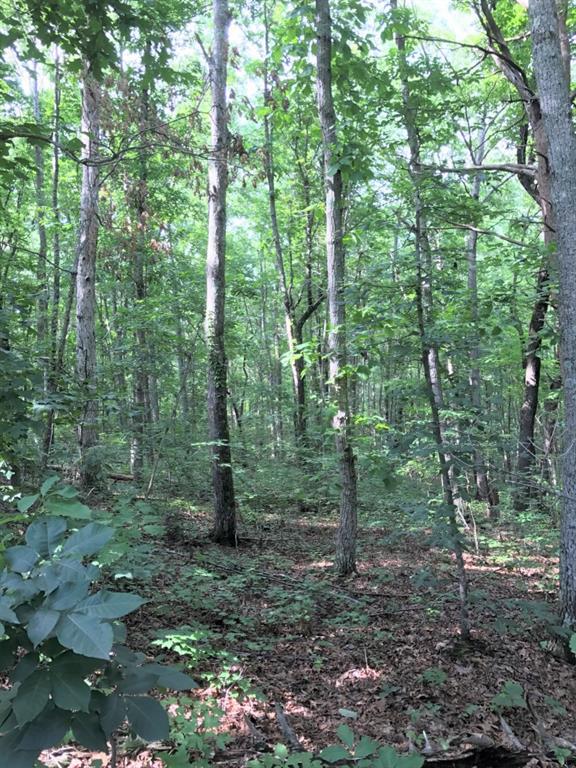 Lower Burris Rd., Canton, GA 30114