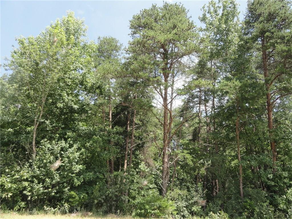 Lot 5 Jot Em Down Rd., Gainesville, GA 30506