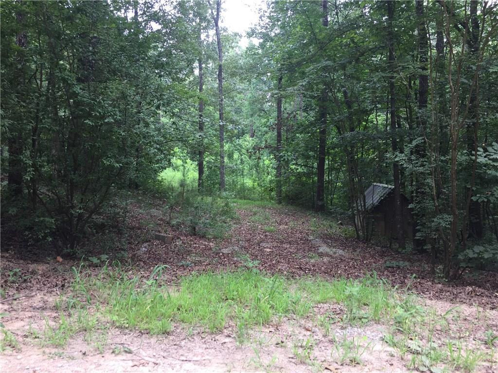 33 Eagle Ridge, Ball Ground, GA 30107