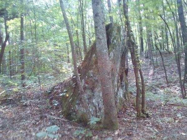 Taylors Gin Rd., Temple, GA 30179