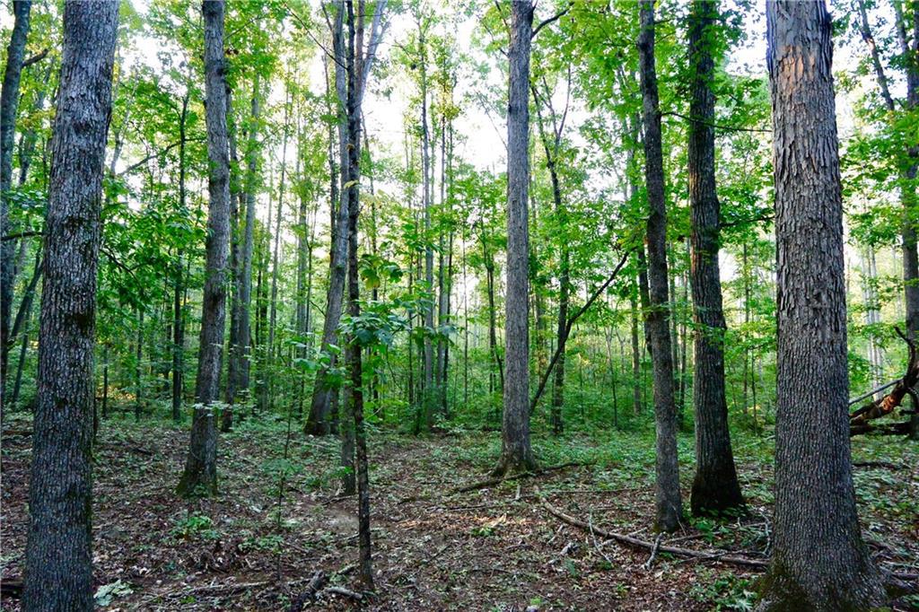 Kelly Dr., Douglasville, GA 30135