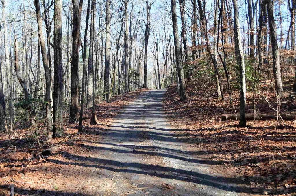 Lot 1 Geneva Rd., Canton, GA 30114