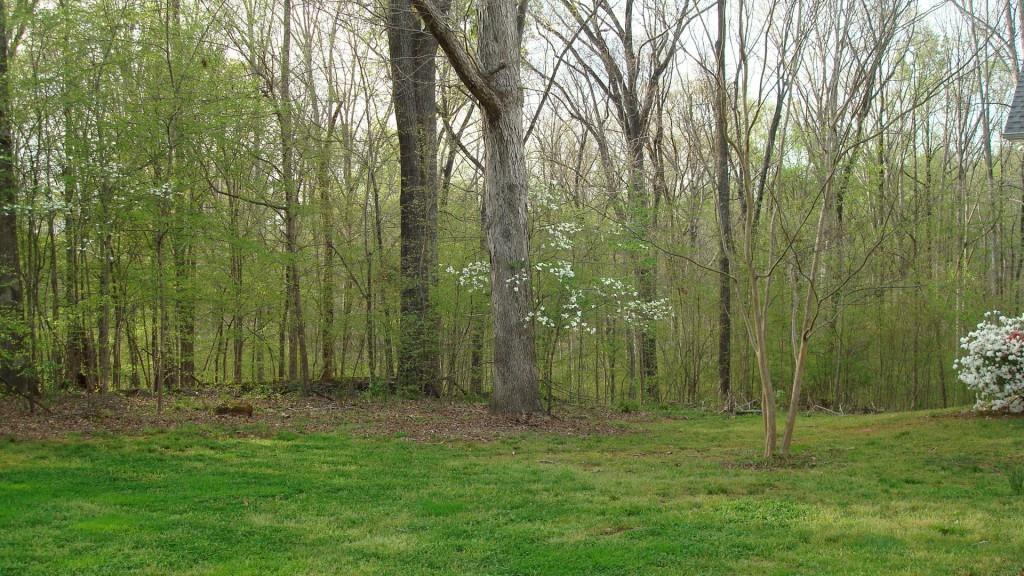 2467 Lebanon Church Rd., Jefferson, GA 30549