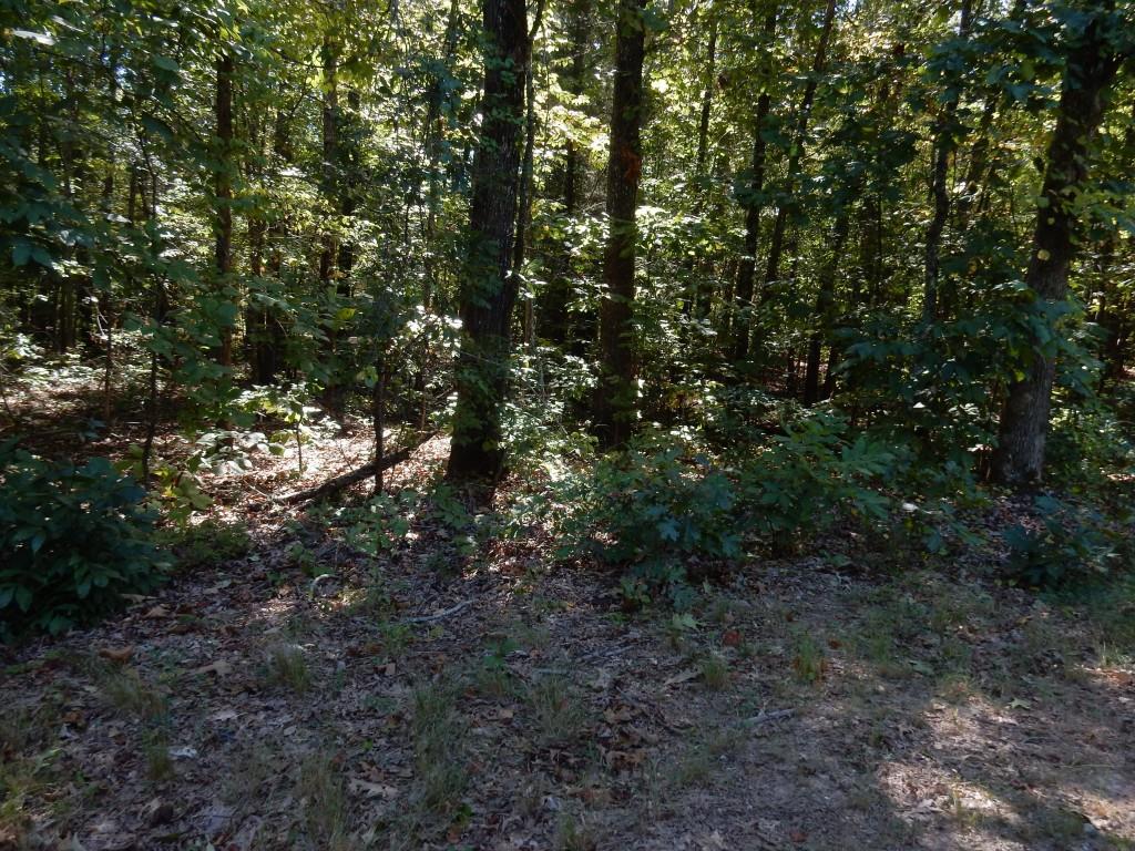 Bruce Rd., Douglasville, GA 30134