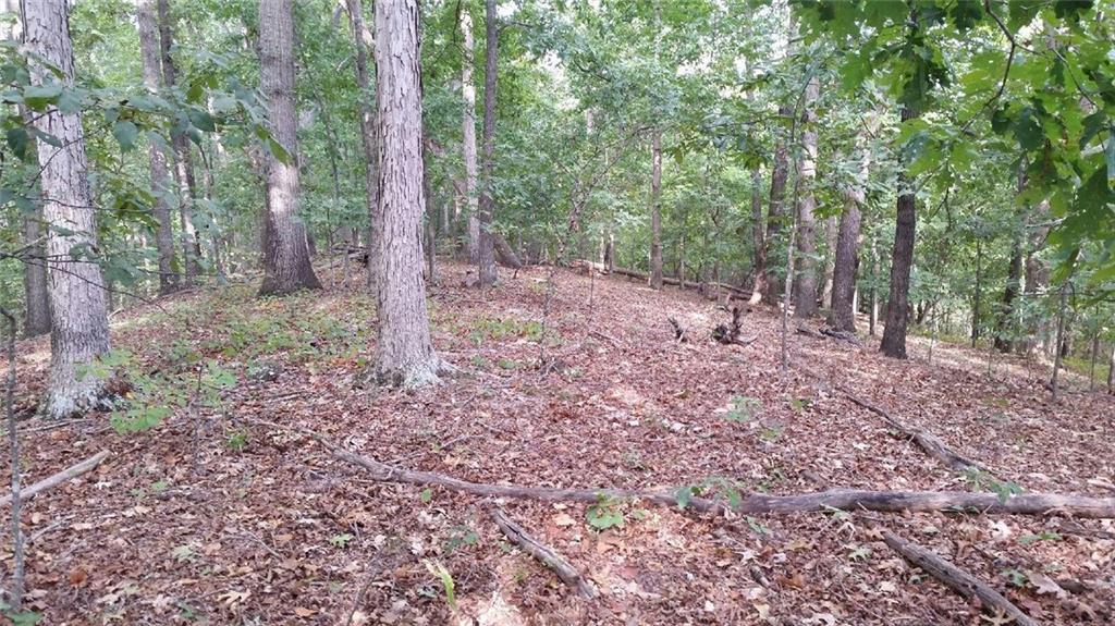 8315 Pleasant Grove Cir., Gainesville, GA 30506