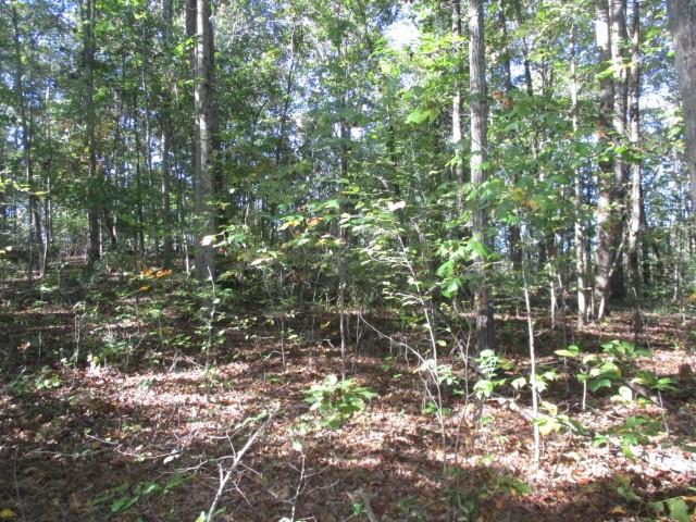 1359 Old Mill Rd., Ball Ground, GA 30107