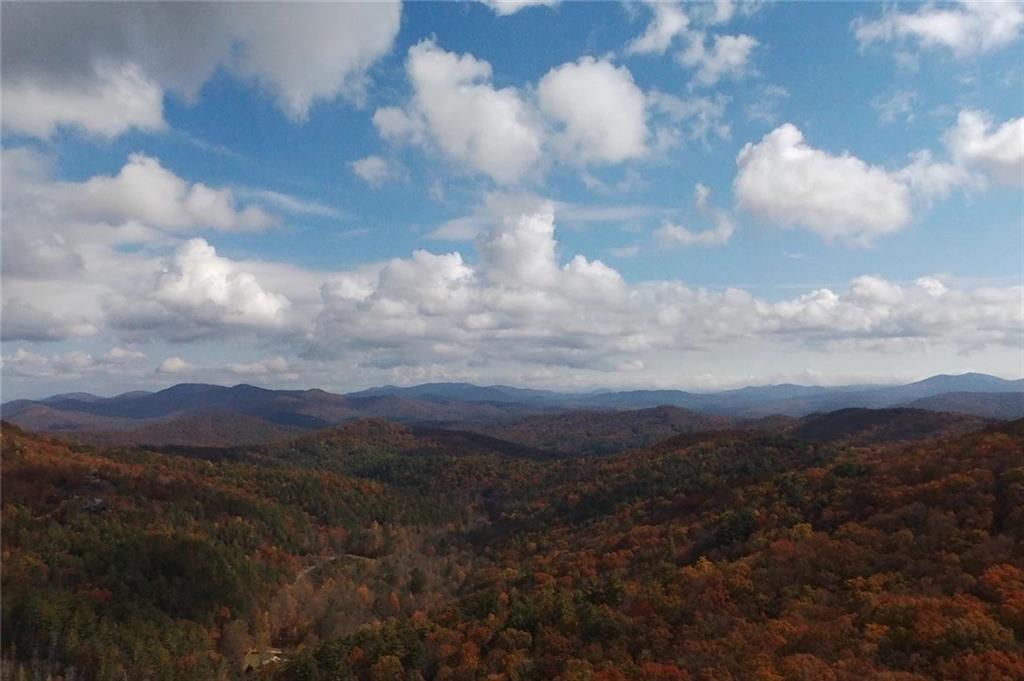 Stanley Creek Rd., Cherry Log, GA 30522