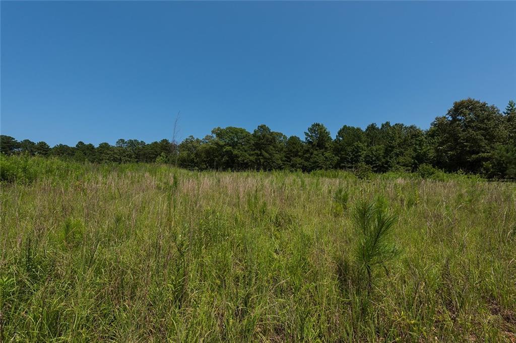 10503 Serenbe Ln., Chattahoochee Hills, GA 30268