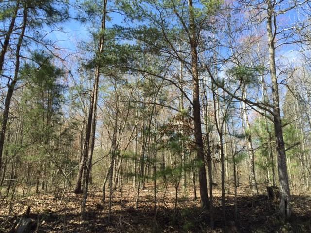 000000 N Snow Springs Rd., Adairsville, GA 30103