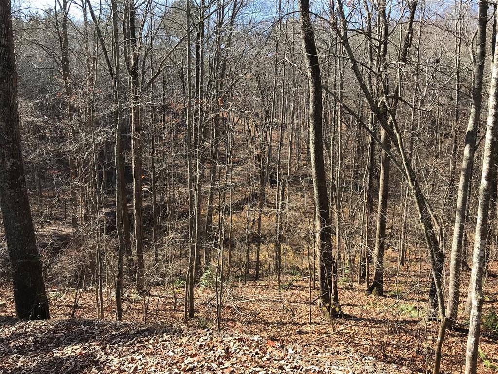 645 Mountain Breeze Tr., Ball Ground, GA 30107