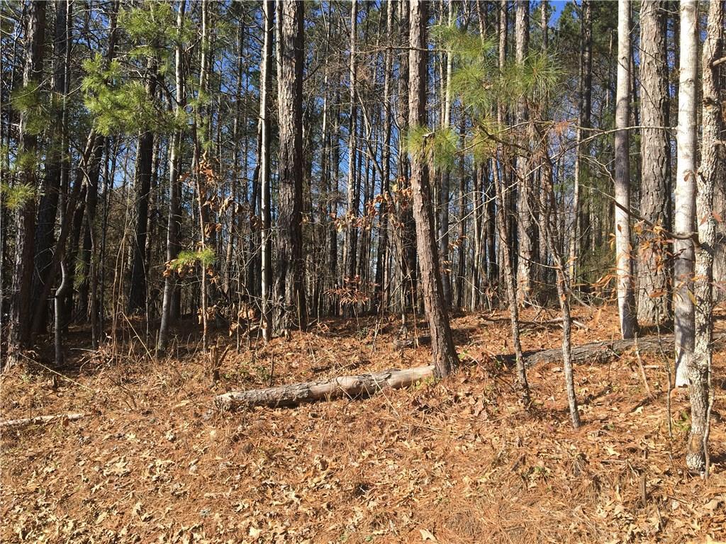 Hardman Ln., Woodstock, GA 30188