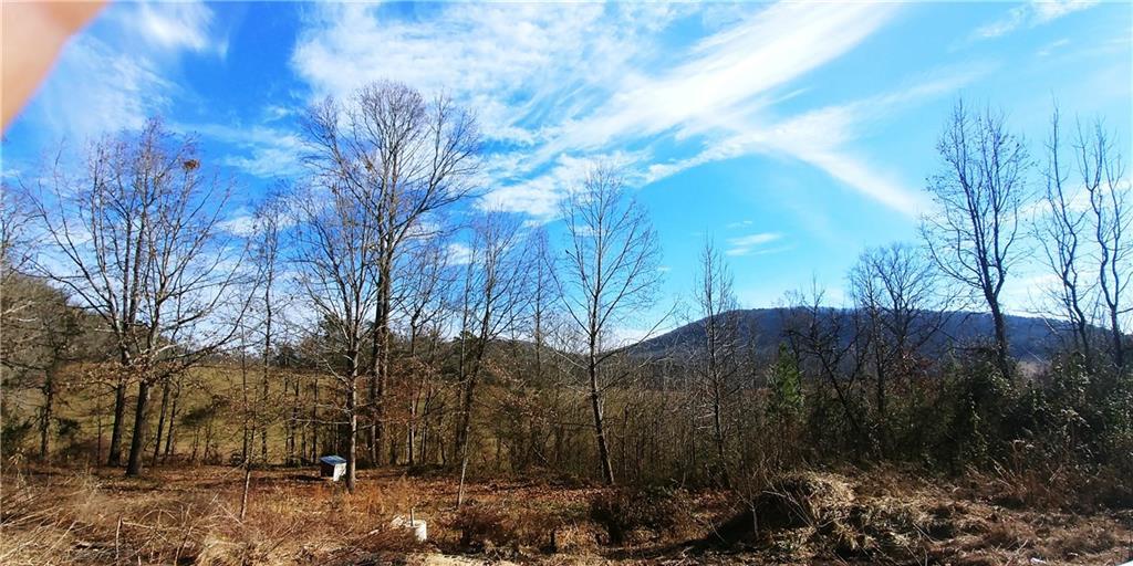 [Address Hidden by Seller], Cleveland, GA 30528