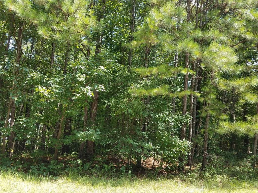 Hale Mountain Ct., Hiram, GA 30141