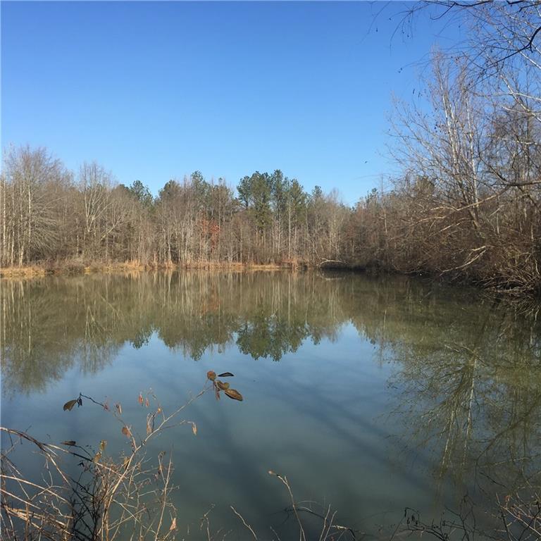 Crews Rd., Coosa, GA 30129