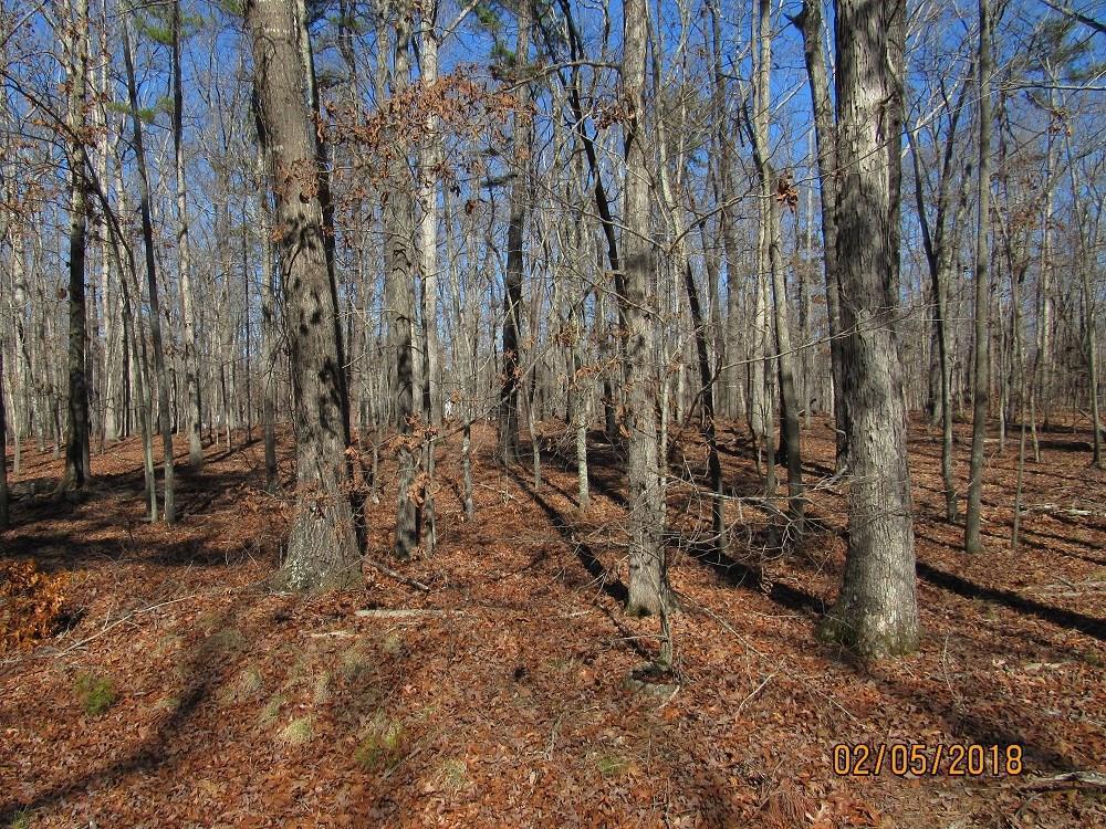 Edmondson Rd., Monroe, GA 30656