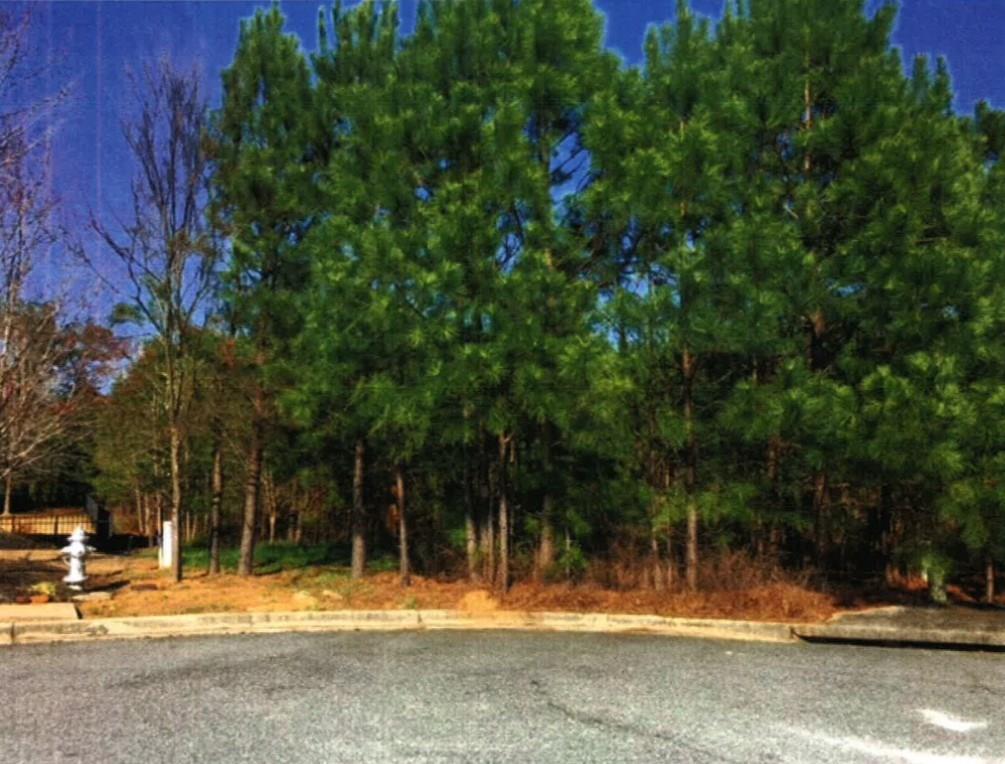 3327 Alcovy Club Ct., Dacula, GA 30019