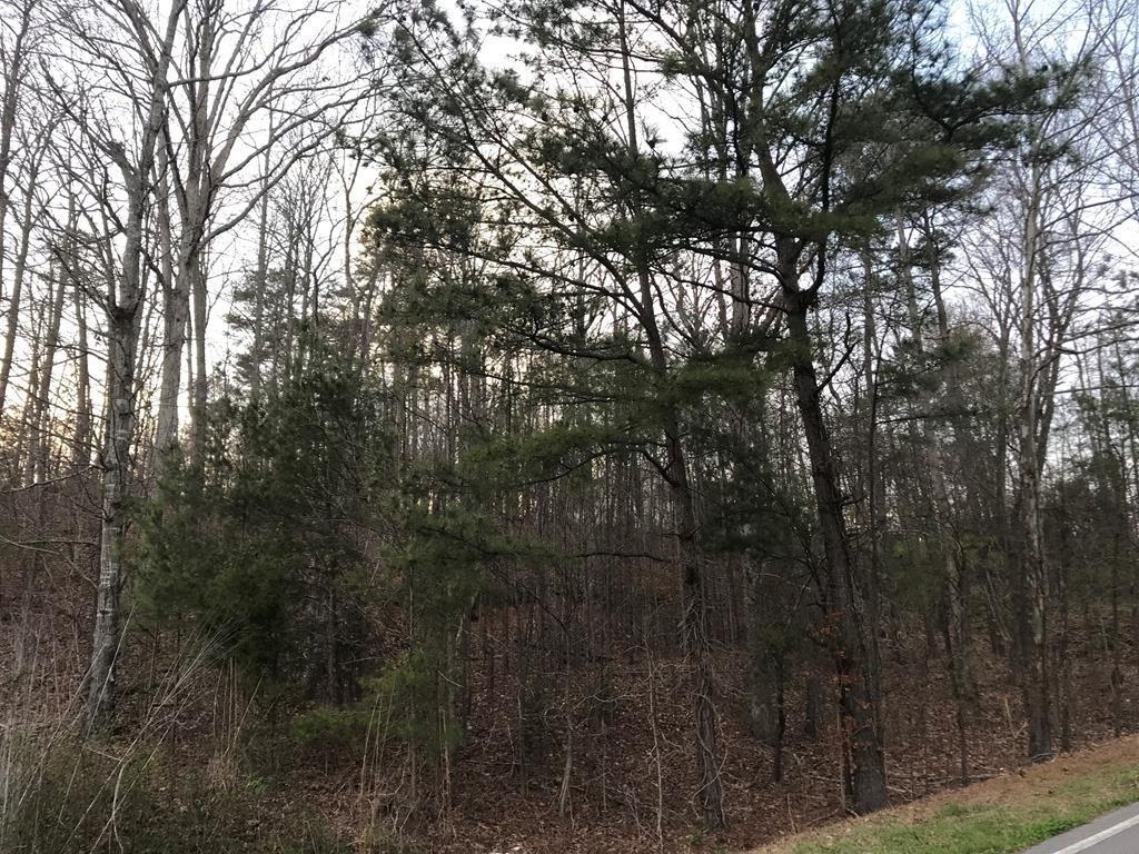 00 Ridge Rd., Dalton, GA 30721