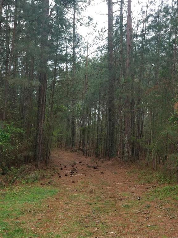 Steadman Rd., Tallapoosa, GA 30176