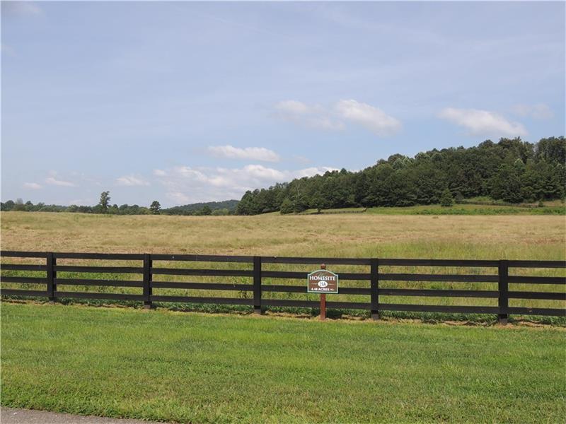 141 Woodhaven Ln., Ball Ground, GA 30107