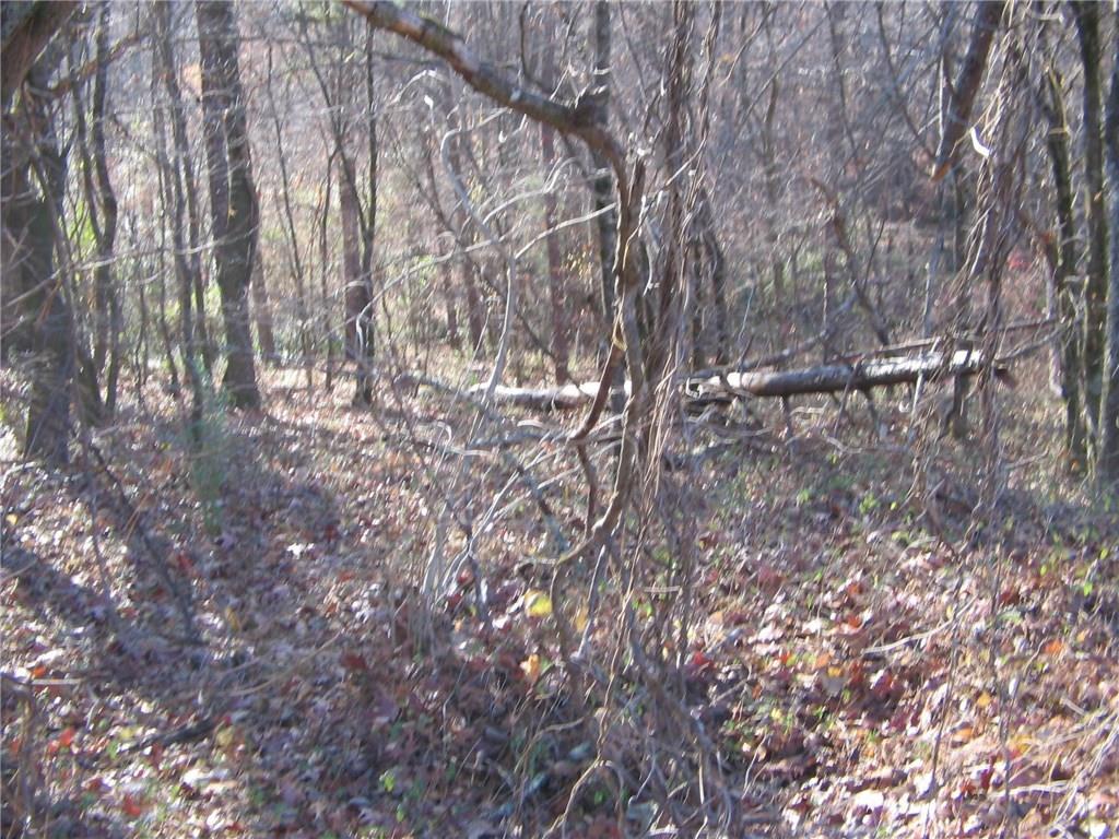 Soap Creek Rd., Ball Ground, GA 30107