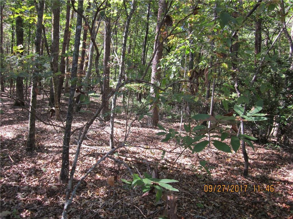 High Shoals Dr., Dahlonega, GA 30533
