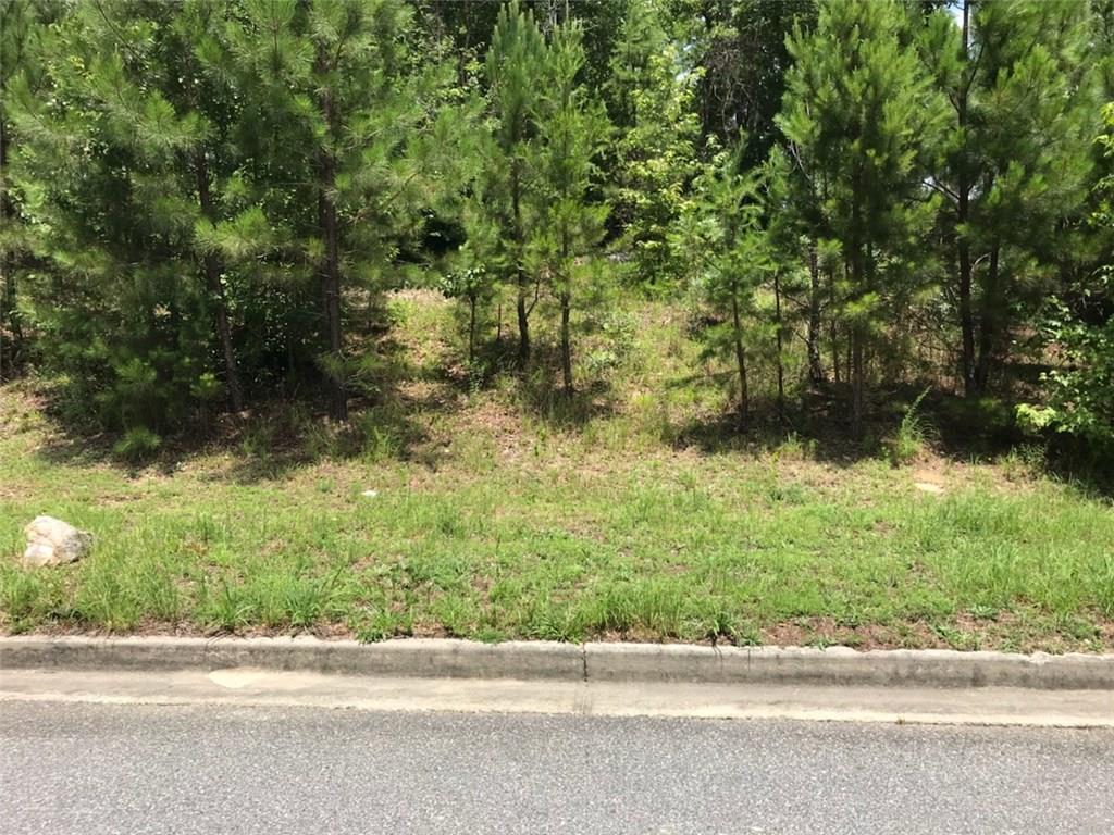 2006 Alcovy Trails Dr., Dacula, GA 30019