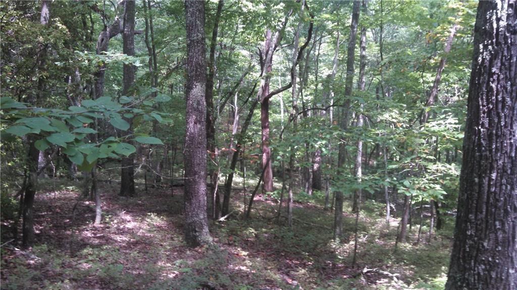 Tower Rd., Waleska, GA 30183