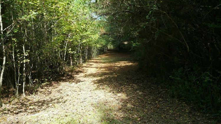 Rico Rd., Palmetto, GA 30268