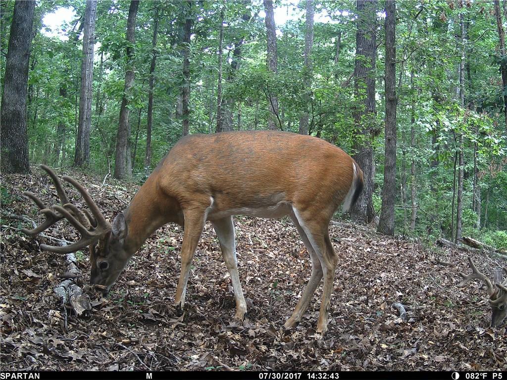 Masters Rd., Dacula, GA 30019