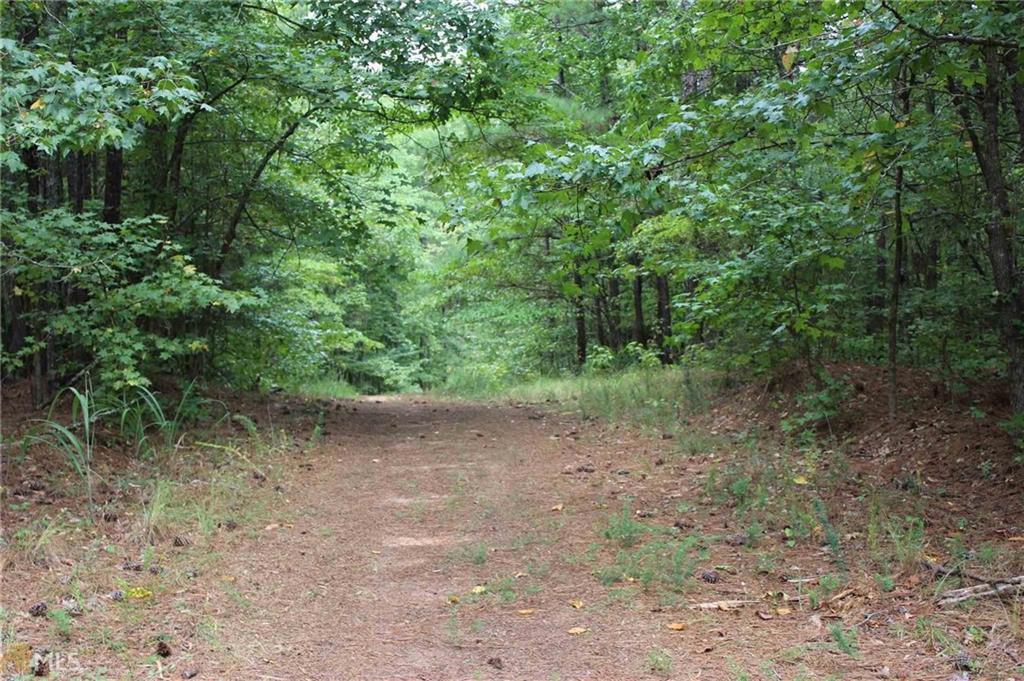 290 Blackberry Cove, Monroe, GA 30656
