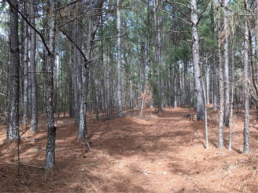 Powell Rd., Rome, GA 30161