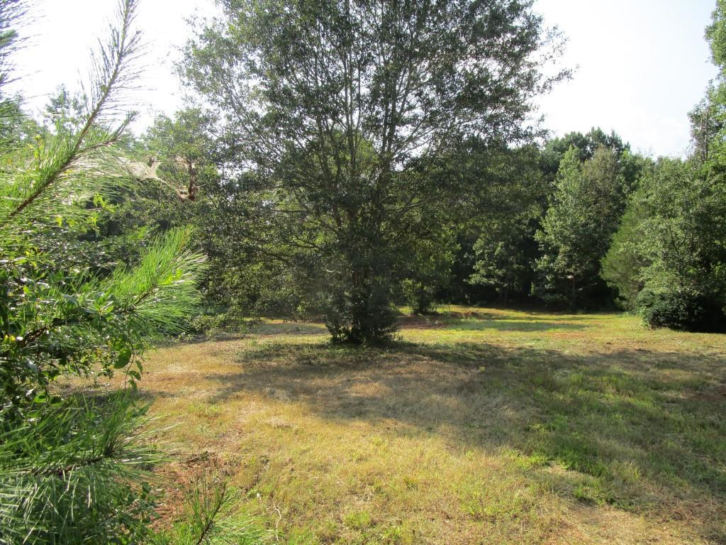 26 Trotters Ridge Rd., Jefferson, GA 30549