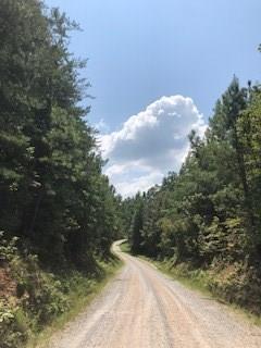 Lot A Styles Lake Rd., Waco, GA 30182