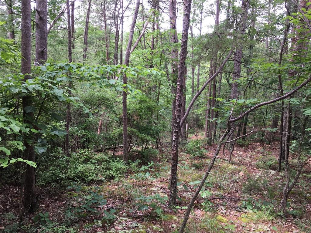 Spout Springs Rd., Rome, GA 30161