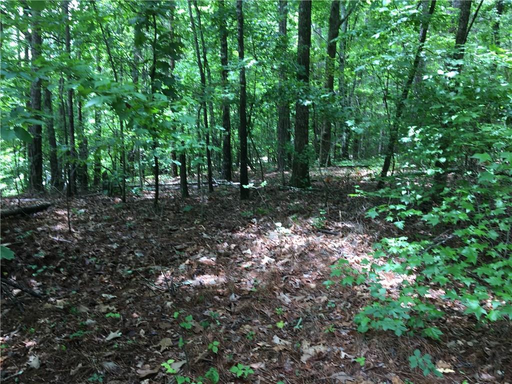 215 Mountain Park Rd., Woodstock, GA 30188