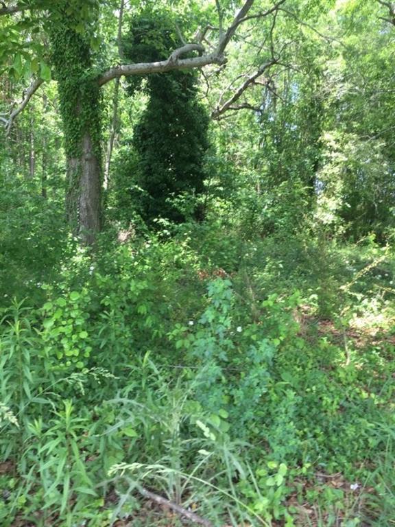 4329 Old Hamilton Mill Rd., Buford, GA 30518