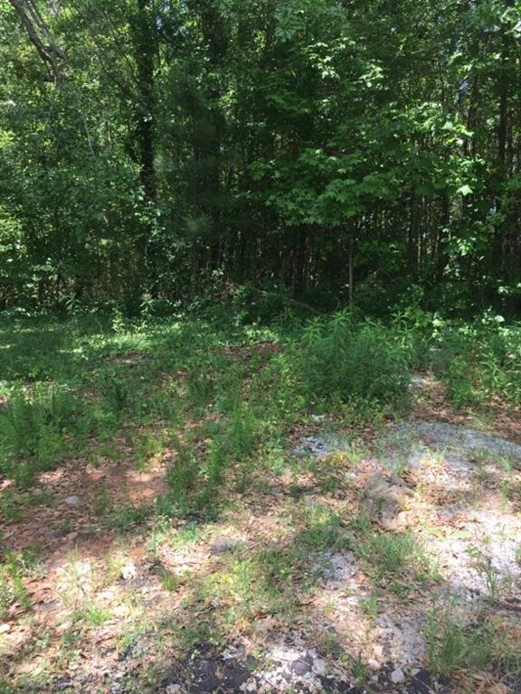 4333 Old Hamilton Mill Rd., Buford, GA 30518