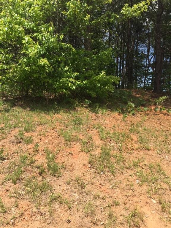 4337 Old Hamilton Mill Rd., Buford, GA 30518