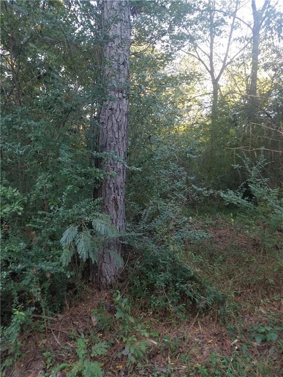 2986 Freemans Mill Rd., Dacula, GA 30019