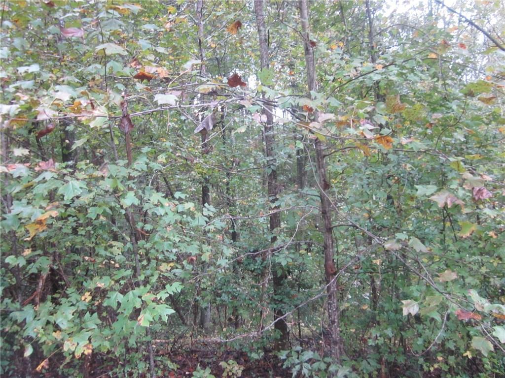 00 Land Rd., Canton, GA 30114