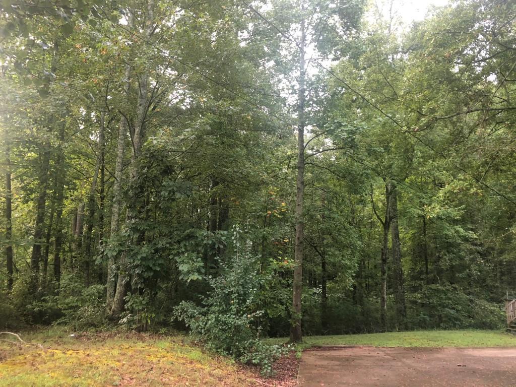 2735 Roper Rd. #B, Cumming, GA 30028