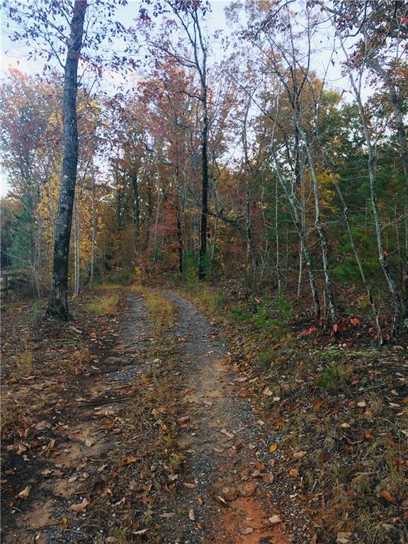 00 Old Mill White Rd., Jasper, GA 30143