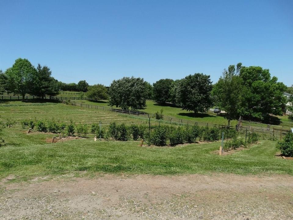 5595 Ranch Dr., Cumming, GA 30041