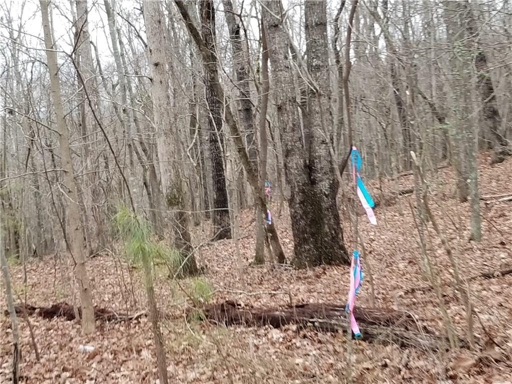 TractB Brooks Rd., Jasper, GA 30143