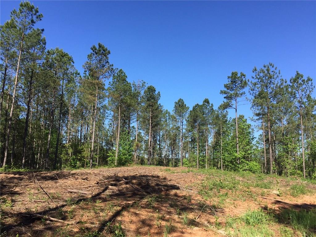 Trct 6 Damascus Rd., Ball Ground, GA 30107