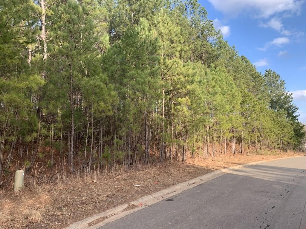 509 Black Horse Cir., Canton, GA 30114