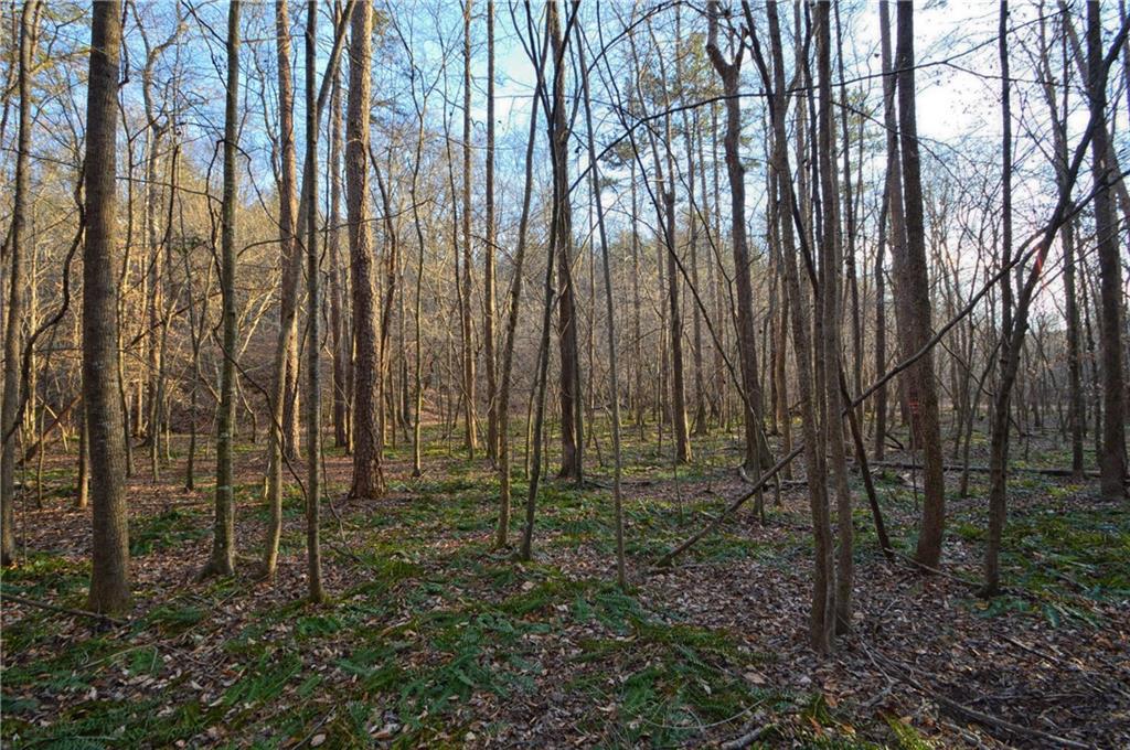 Carson Segars Rd., Maysville, GA 30558