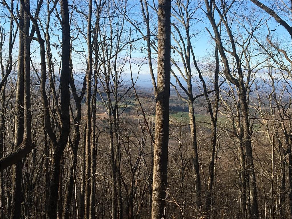 Old Teems Rd., Talking Rock, GA 30175